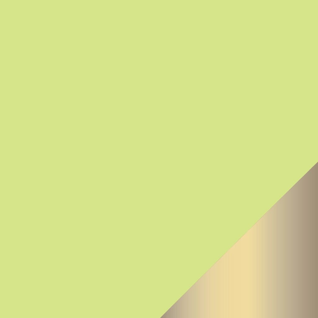 Lime Party Supplies | Luxe Party NYC