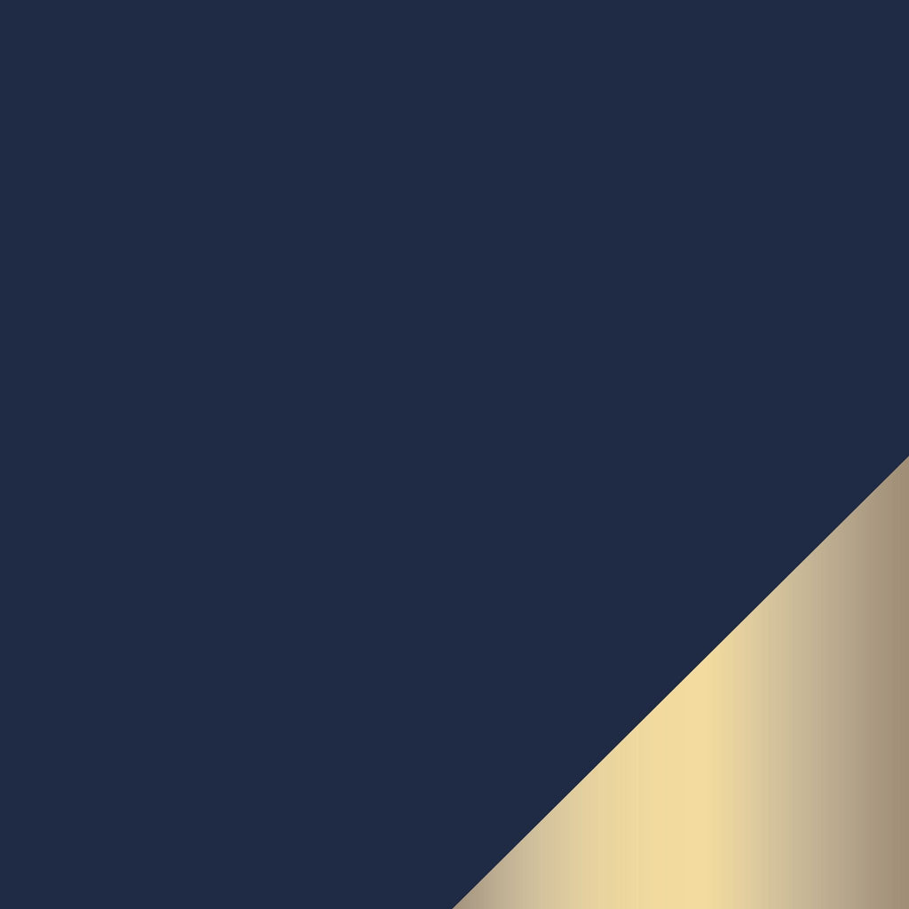 Navy and Gold Trim Plastic Tableware Collection | Luxe Party NYC